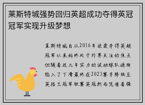 莱斯特城强势回归英超成功夺得英冠冠军实现升级梦想